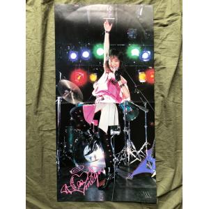傷無美盤 激レア 1985年 早川めぐみ 12...の詳細画像5