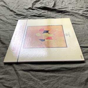 原信夫Collection 良盤 1962年 ...の詳細画像2