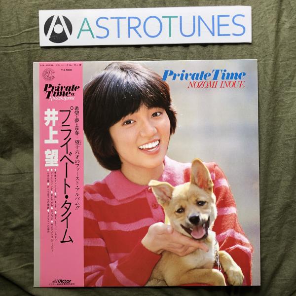 傷なし美盤 美ジャケ 1979年 井上望 LPレコード プライベート・タイム Private Tim...