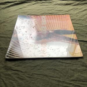 未開封新品 2001年 米国盤 オリジ盤 倖田...の詳細画像2