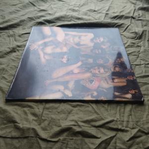 良盤 激レア 1973年プレス 英国盤 Jim...の詳細画像2