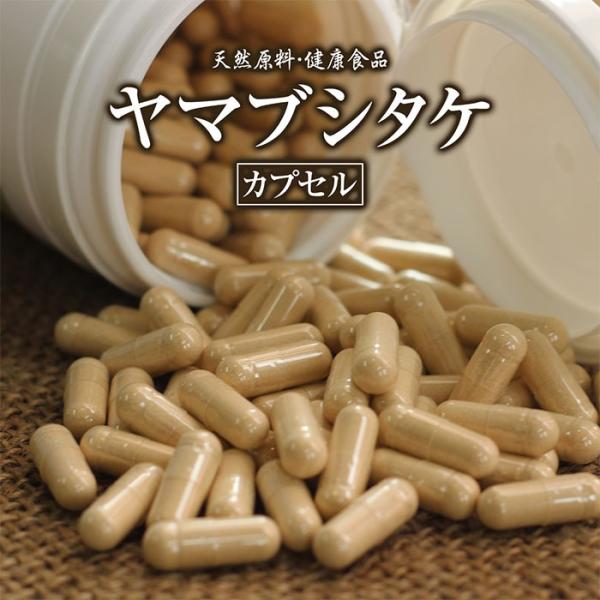 ヤマブシタケカプセル(220粒)天然ピュア原料そのまま健康食品/山伏茸,ヤマブシダケ,やまぶしたけ