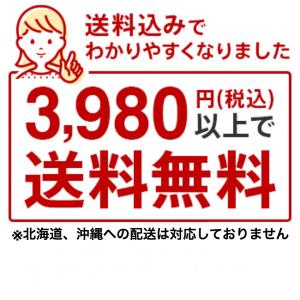 カラダシルク in 200ml COZY MI...の詳細画像2