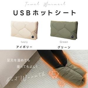 電熱 ハンドウォーマー 薄型 USB給電式 カ...の詳細画像1