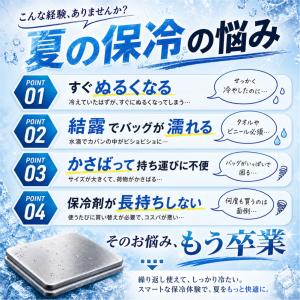 ＼急速冷凍&長時間保冷!/2026年新発売 保...の詳細画像2