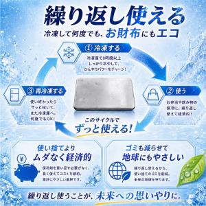 ＼急速冷凍&長時間保冷!/2026年新発売 保...の詳細画像5