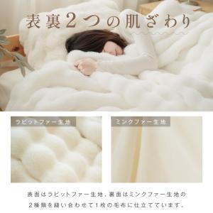 毛布 ブランケット ふわとろ 2025年新型 ...の詳細画像5