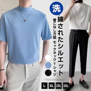 モックネック Tシャツ メンズ 半袖 ゆったり カジュアル プチハイネック 半袖Tシャツ カットソー スポーツ 無地 夏 ゴルフシャツ