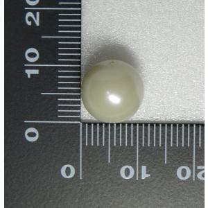 プラスチックパール通し玉ホワイト11mm3PP...の詳細画像1