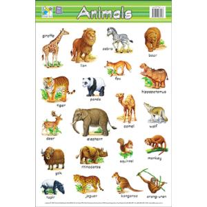 子ども用英語ポスター:ANIMALS (WALL...の商品画像