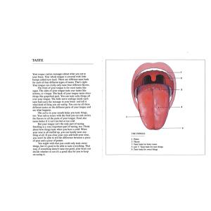 【五感シリーズ】FIVE SENSES : T...の詳細画像2