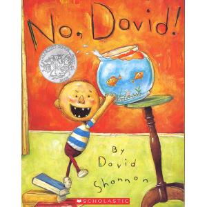 NO. DAVID!/だめよデイビッド！/洋書絵本/名作こどもの本