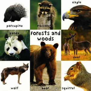 絵辞典:FIRST 100 ANIMALS/は...の詳細画像1