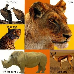 絵辞典:FIRST 100 ANIMALS/は...の詳細画像2