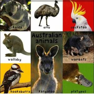 絵辞典:FIRST 100 ANIMALS/は...の詳細画像3