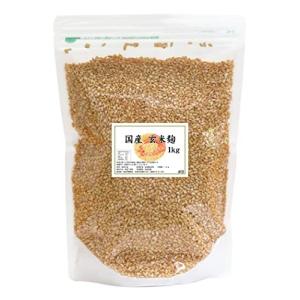 自然健康社 玄米麹 乾燥 1kg 米糀 米こうじ 無添加 国産
