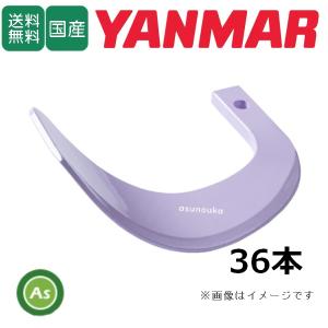 ロータリー　EB17DS　 ヤンマー純正 サイドロータリー用 標準爪(EB用) 36本セット [1B1717