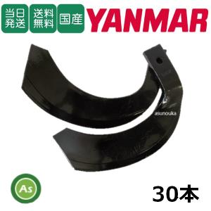 ヤンマー純正 サイドロータリー用 ナタ爪 30本セット [195533 ヤンマー純正 サイドロータリー用 ナタ爪 30本セット [195533