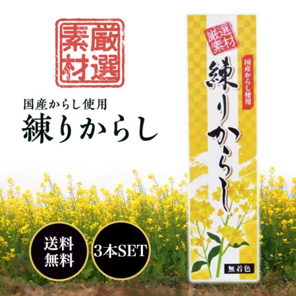 東京フード 練りからし 40g×3本セット 国産 ねり 辛子 カラシ 厳選素材使用 ( 国産 からし...