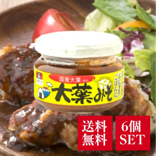 会津天宝 大葉みそ 100g 6個 セット おかず みそ 甘辛 大葉 しそ 味噌 ご飯のお供 おつま...