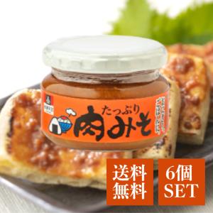 会津天宝 肉みそ 100g 6個 セット おかず みそ ピリ辛 肉 味噌 国産 万能 調味料 朝ご飯 和風 おつまみ おかず おにぎり 麻婆豆腐 福島 会津 珍味 東北 長期保存