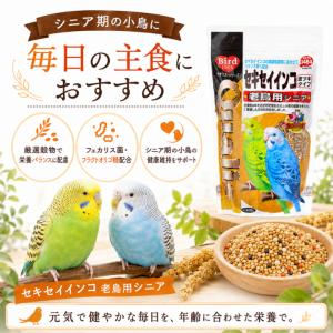 ペッズイシバシ クオリス セキセイインコ 老鳥...の詳細画像2