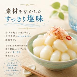岩下食品 岩下の塩らっきょう90g 3袋 セッ...の詳細画像2