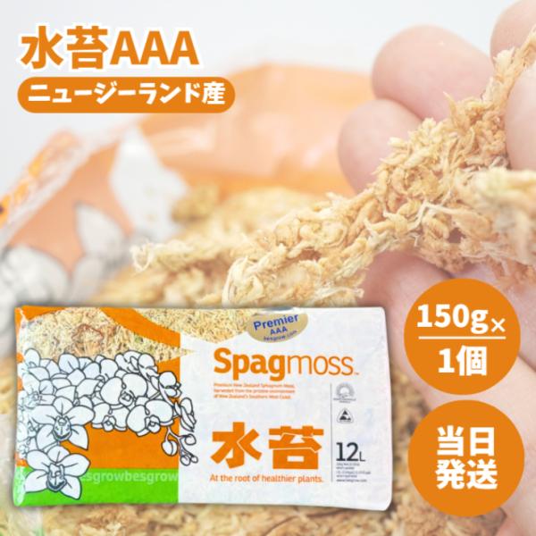 水苔 AAA150g 12L ニュージーランド産 園芸用品 爬虫類 水ごけ 圧縮 ミズゴケ 水こけ ...