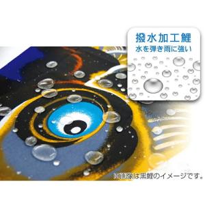 こいのぼり 徳永鯉 鯉のぼり 単品 1.5m ...の詳細画像2