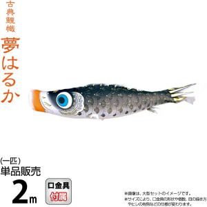 こいのぼり 徳永鯉 鯉のぼり 単品 2m 夢はる...の商品画像
