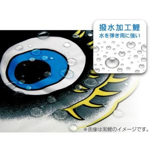 こいのぼり 徳永鯉 鯉のぼり 単品 2m 夢は...の詳細画像2
