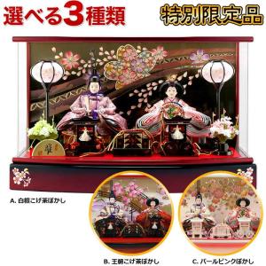 雛人形 ひな人形 雛 ケース飾り 親王飾り 清玉作 芥子親王 アクリル