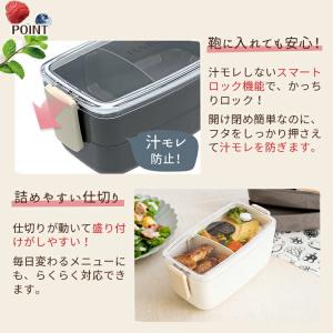 弁当箱 Cランタス SS-T570CN アスベ...の詳細画像2