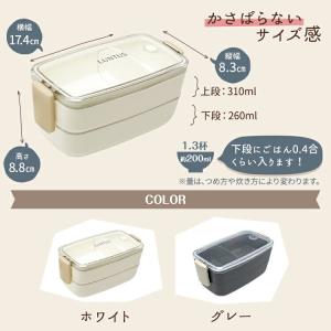 弁当箱 Cランタス SS-T570CN アスベ...の詳細画像5