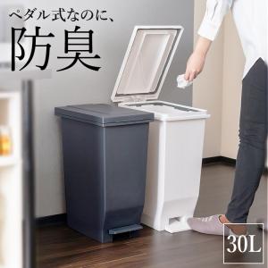 ゴミ箱 おしゃれ キッチン 分別 密閉 ペダル スリム 30リットル アスベル ダストボックス 防臭 分別 30l 30L 蓋付き 大容量 ごみ箱