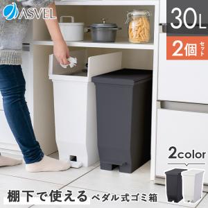 ダストカーゴ ダストワゴン(パネル付) ペール3個＋分別スペースタイプ