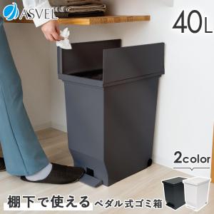 ゴミ箱 おしゃれ 【ZIP!】 紹介 45リットル のゴミ袋対応 分別 キッチン 40リットル ダストボックス 棚下 ペダル スリム アスベル 45l 蓋付き 大容量 ごみ箱