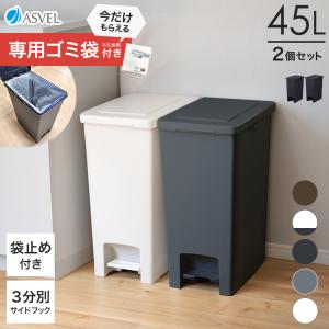 ゴミ箱 おしゃれ キッチン 45リットル 2個セット 【限定カラー】 ペダル スリム アスベル ダス...