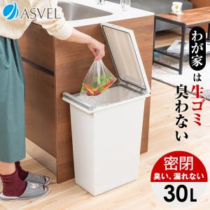 ゴミ箱 おしゃれ キッチン 臭わない 密閉 プッシュ スリム 30リットル アスベル ASVEL 分別 30l 30L 大容量 蓋付き 資源ゴミ ごみ箱
