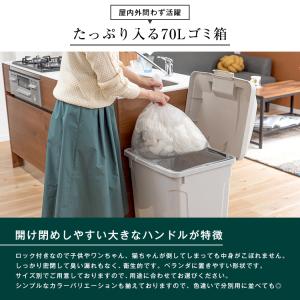 ゴミ箱 おしゃれ 屋外 分別 SP ハンドル ...の詳細画像1