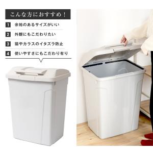 ゴミ箱 おしゃれ 屋外 分別 SP ハンドル ...の詳細画像2