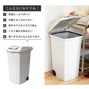 ゴミ箱 おしゃれ 屋外 分別 SP ハンドル ...の詳細画像2