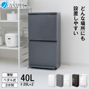 ゴミ箱 おしゃれ キッチン 分別 【限定カラー】 2段 ワイド 40リットル ペダル アスベル ASVEL 2分別 縦型 40L 大容量 蓋付き 資源ゴミ ごみ箱｜アスベル ヤフー店