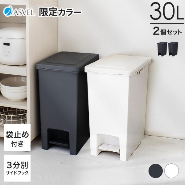 ゴミ箱 おしゃれ 30リットル 2個セット キッチン 【限定カラー】 分別 ペダル スリム アスベル...