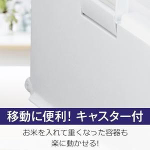 米びつ 計量 12kg アスベル ASVEL ...の詳細画像5