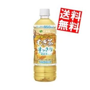 送料無料 伊藤園 健康ミネラルむぎ茶 すっきり健康麦ブレンド 650mlペットボトル 48本 (24...