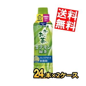 期間限定特価 送料無料 伊藤園 お〜いお茶 カテキン緑茶 500mlペットボトル 48本 (24本×...