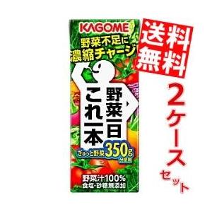 送料無料 カゴメ 野菜一日これ一本 200ml紙パック 48本(24本×2ケース)｜at-cvs