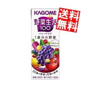 野菜生活100 季節限定 本日の逸品 北海道富良野メロンミックス カゴメ