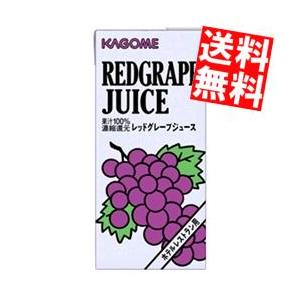 送料無料 カゴメ レッドグレープジュース （ホテルレストラン用） １Ｌ紙パック 12（6×2）本入｜at-cvs